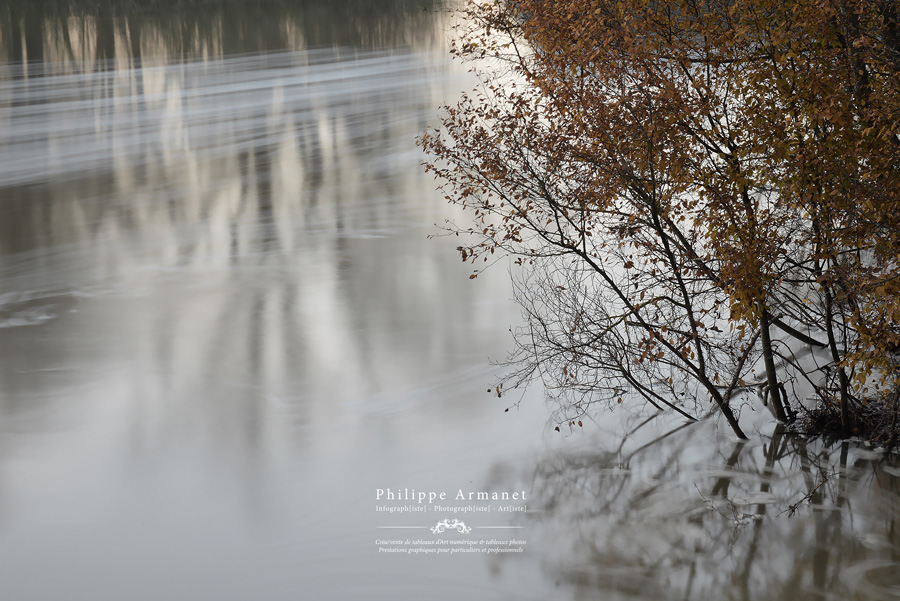 Expo photos de nature en Saône-et-Loire