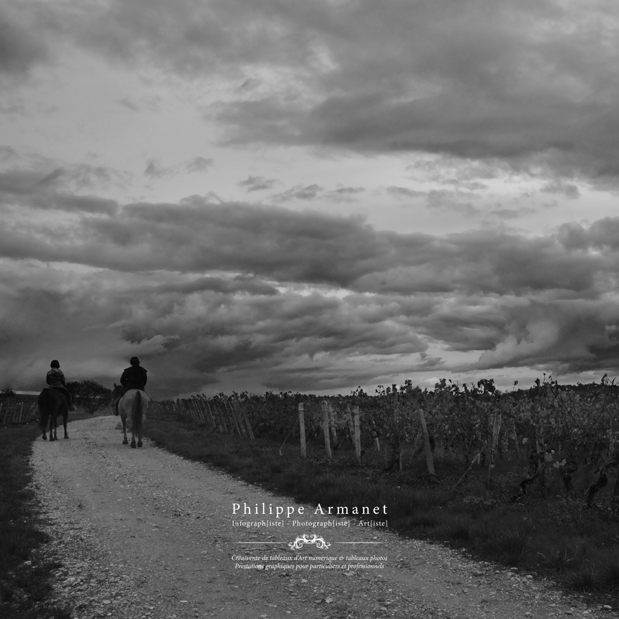 Photo noir et blanc vignes de viré clessé