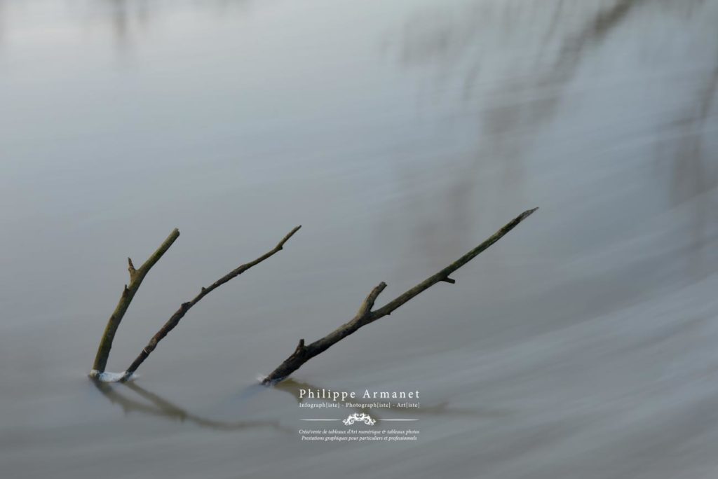 Photo d'art, Chalon-sur-Saône