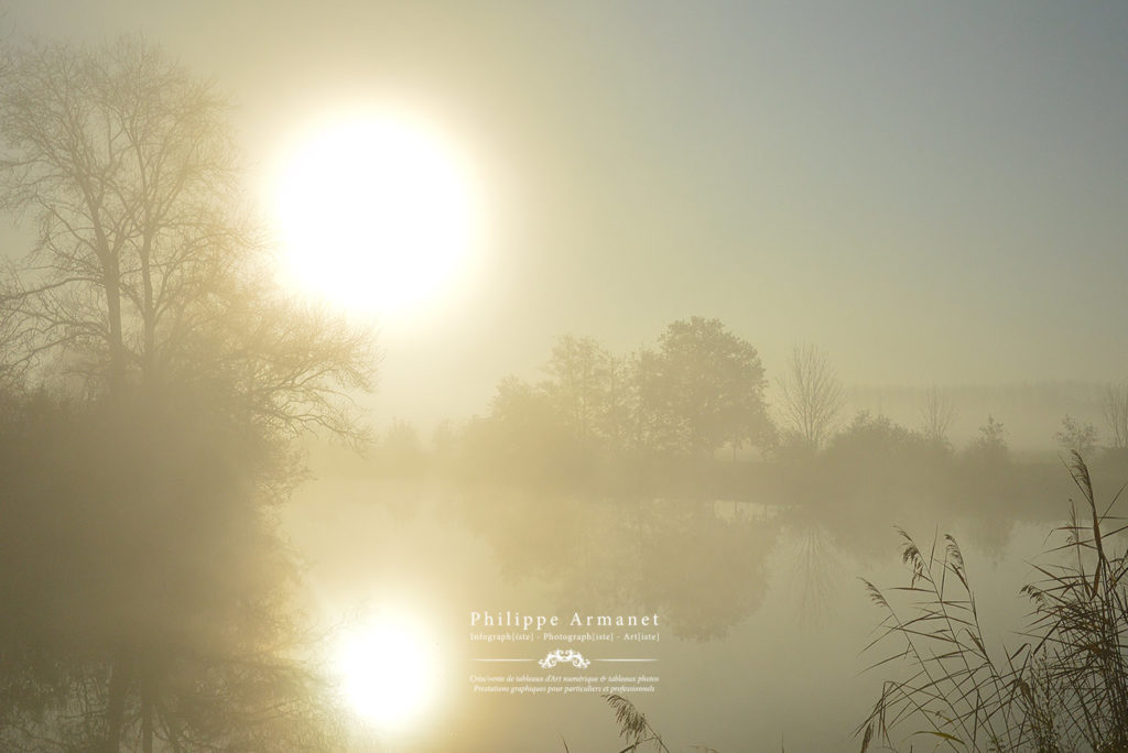 Photo sur la bourgogne en galerie d'Art
