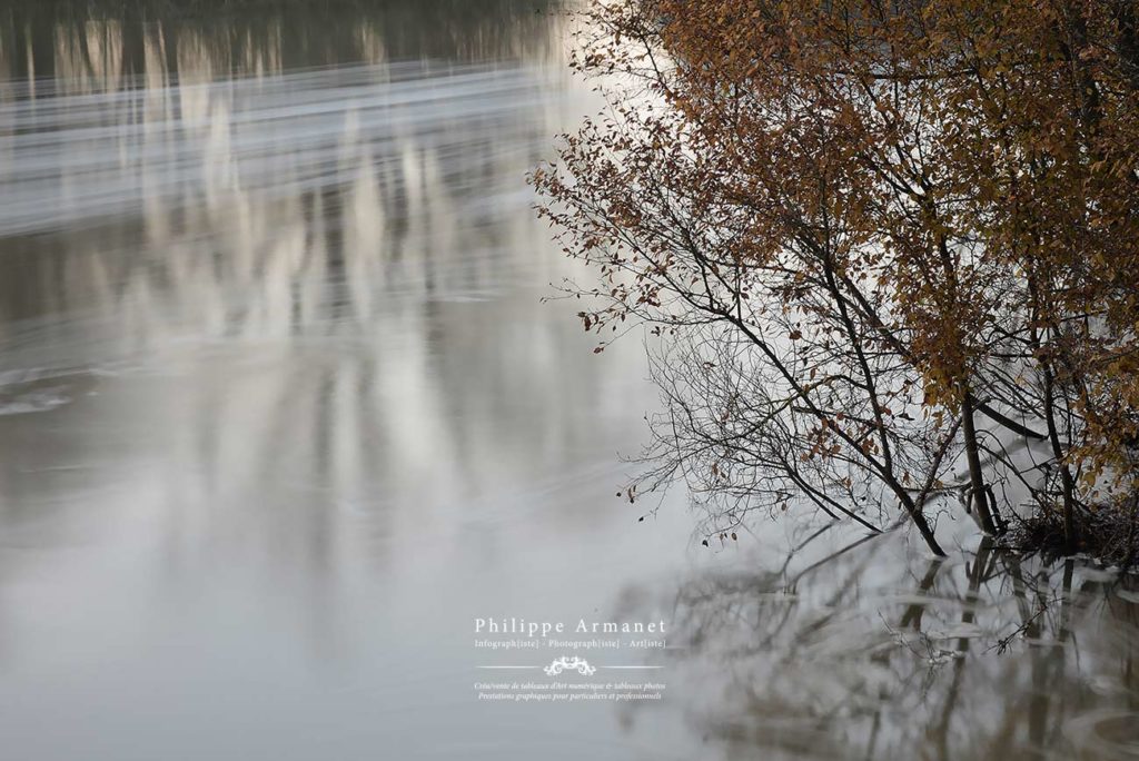 Expo photos de nature en Saône-et-Loire