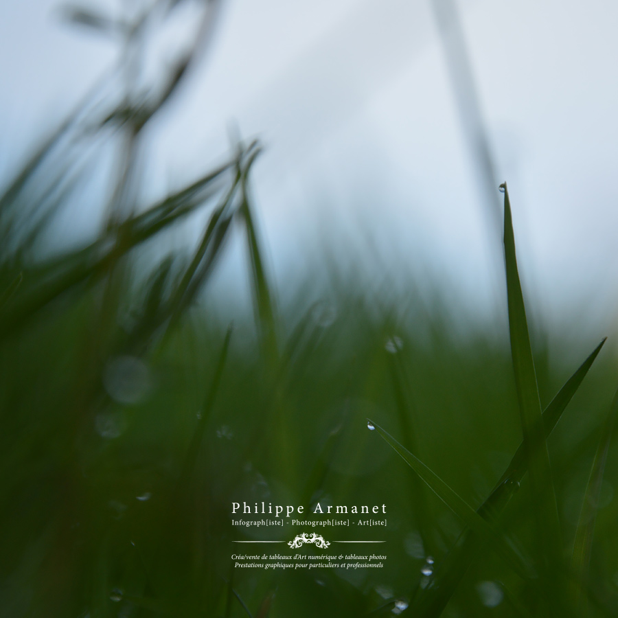 Photographie artistique, tirage numéroté