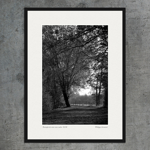 Image encadrée idée cadeau