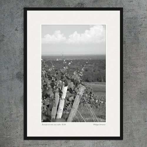 Photo de vignes encadré