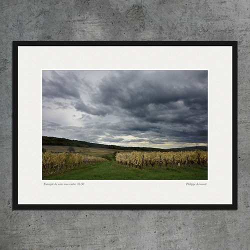 Photo de vignes sous cadre