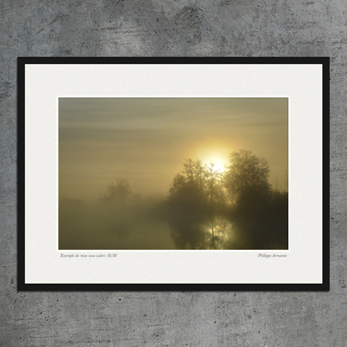 Tableau photo, brume de Saône-et-Loire