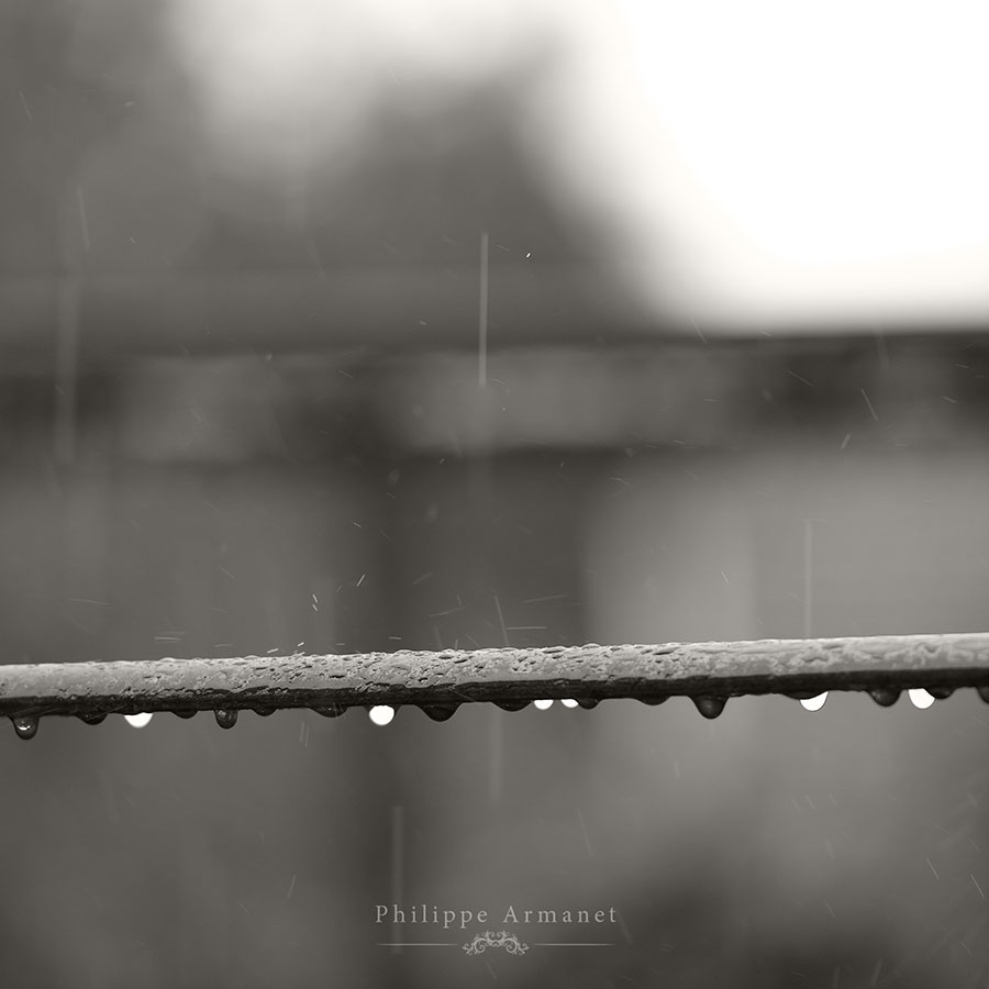 Photo de pluie en noir et blanc, Philippe Armanet