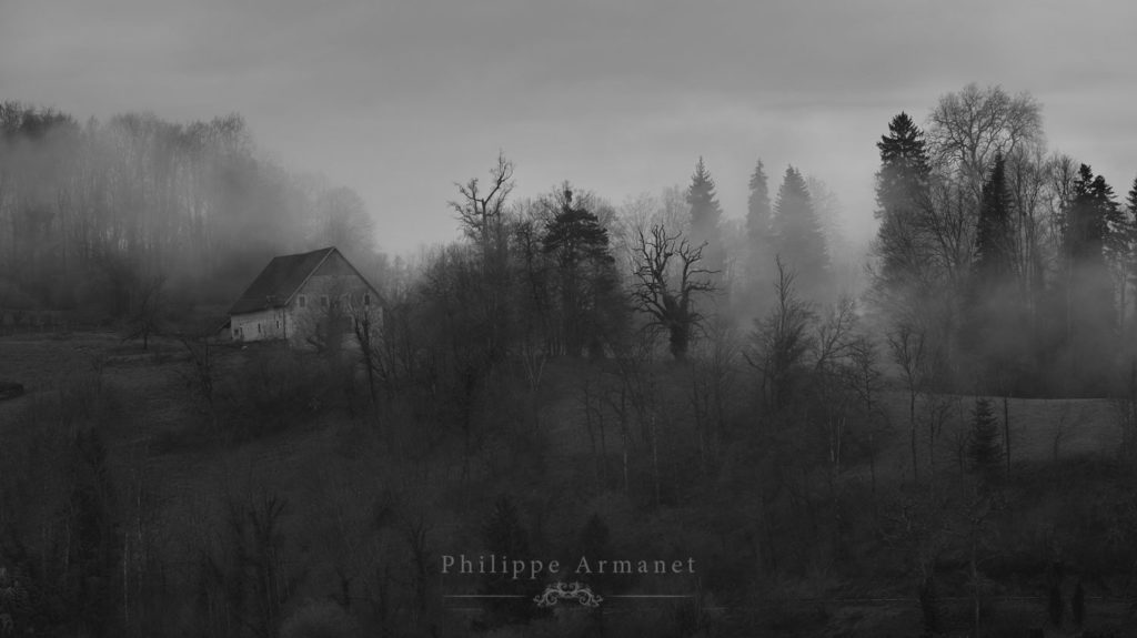 Tirage d'art photo de brume en noir et blanc