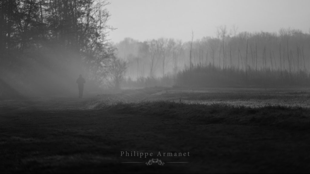 Photo de brume en noir et blanc, tirage d'art