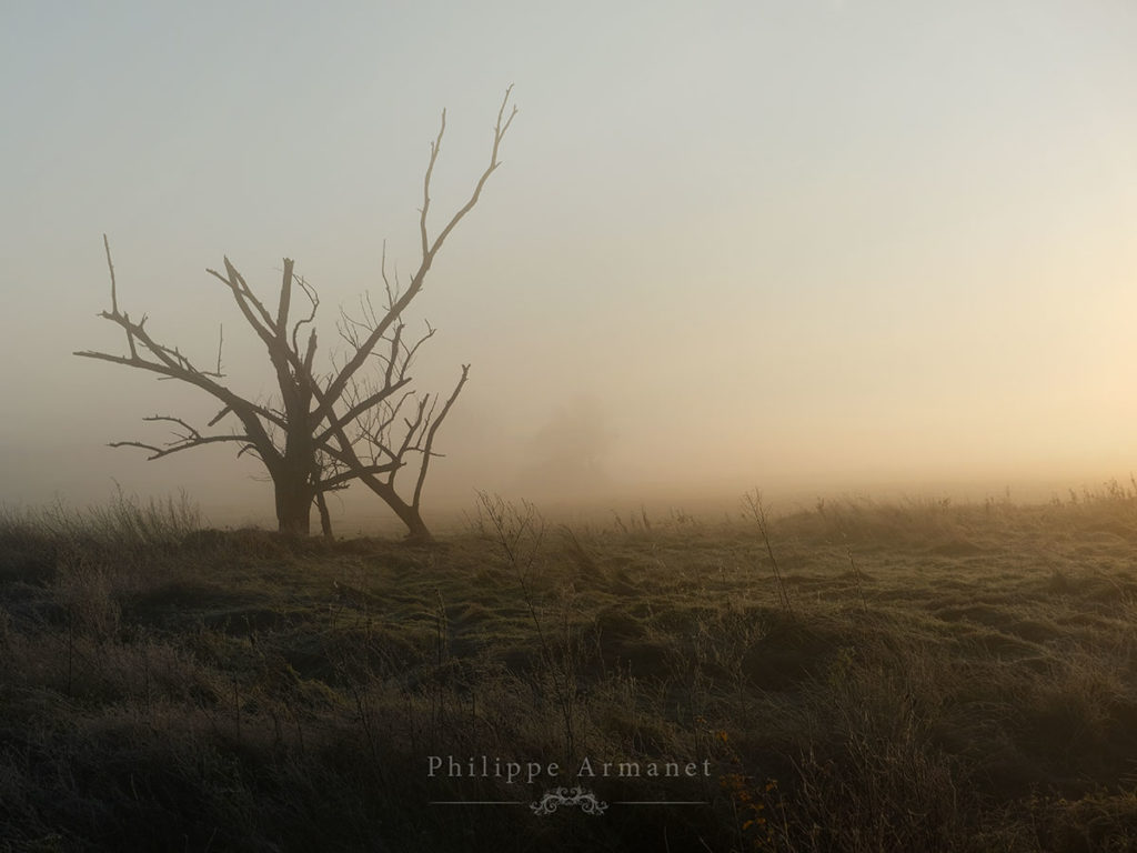 Photo de brume, aux portes du paradis