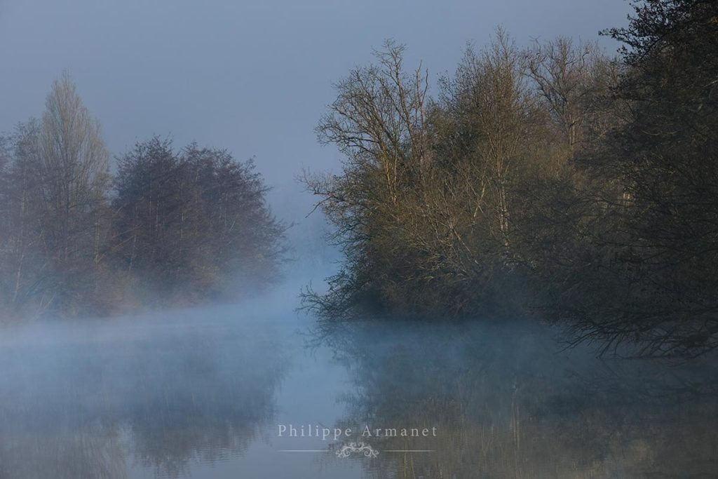 Photo de brume, brume bleue