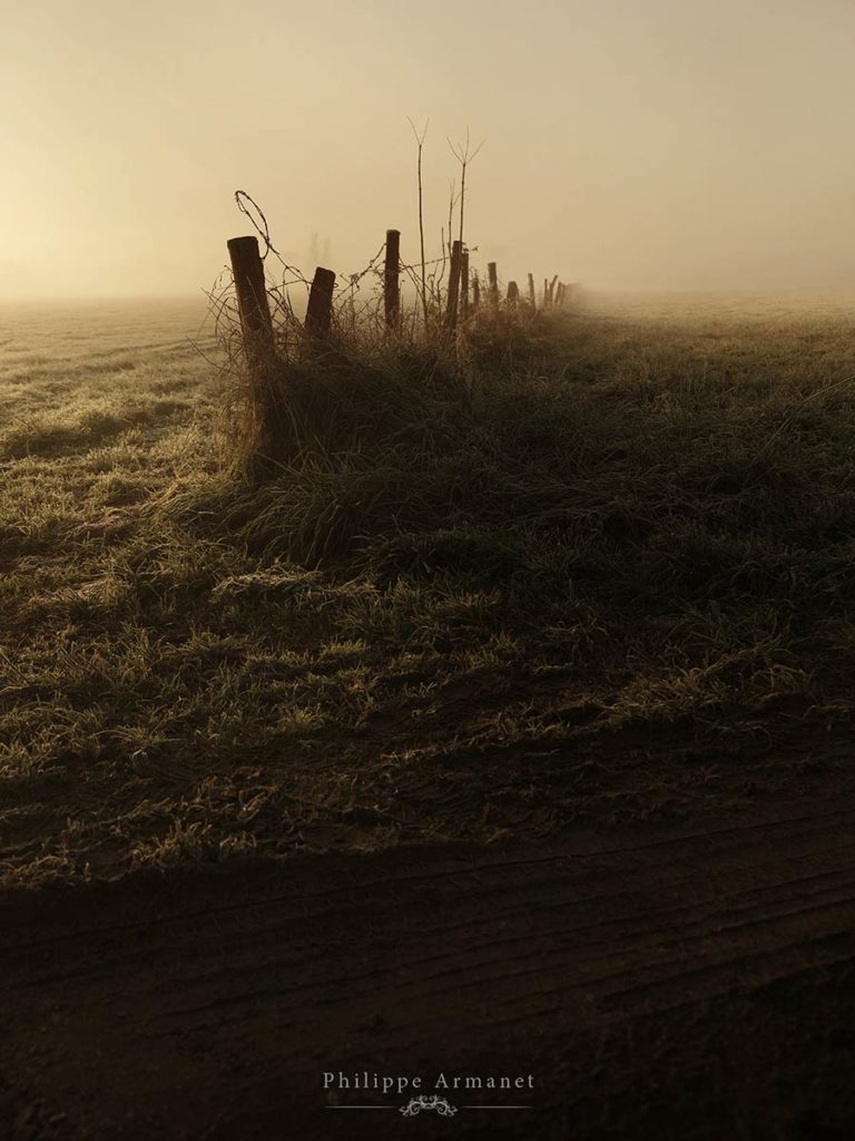 Photo de brume à la campagne