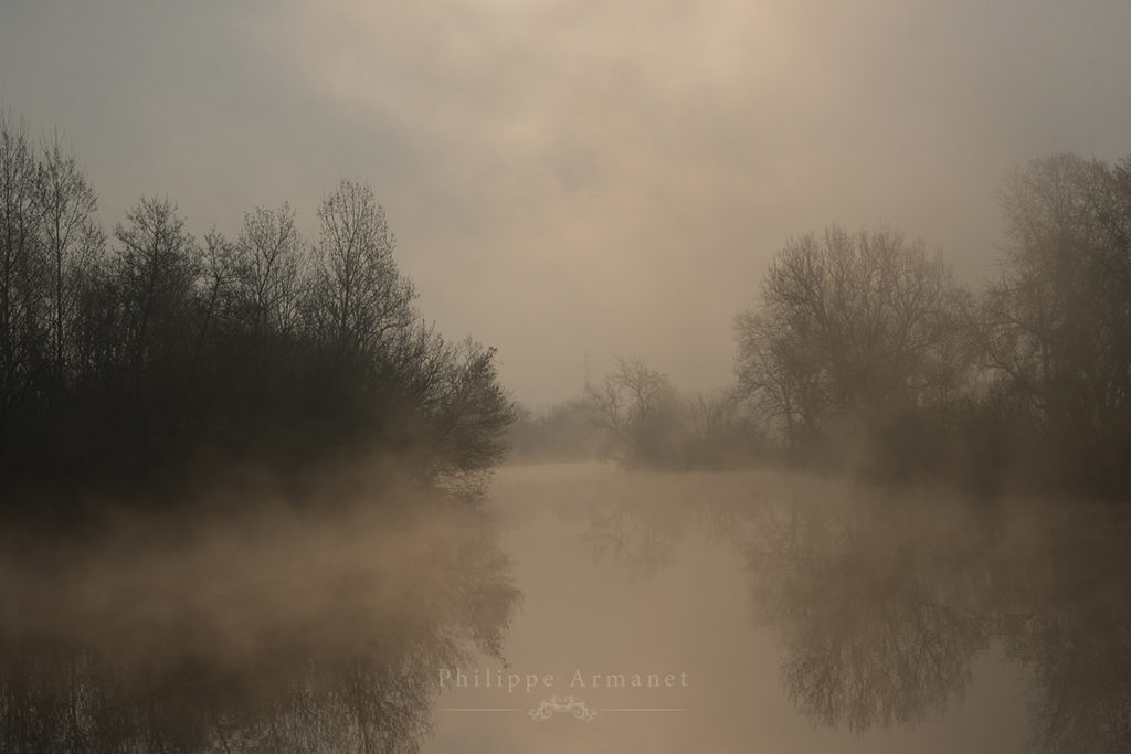 Photo de brume au dessus de la Seille