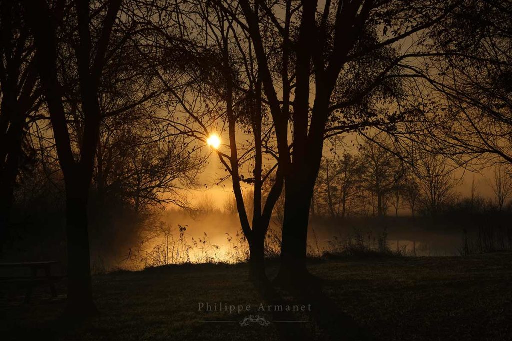 Photo de brume, coulée de soleil