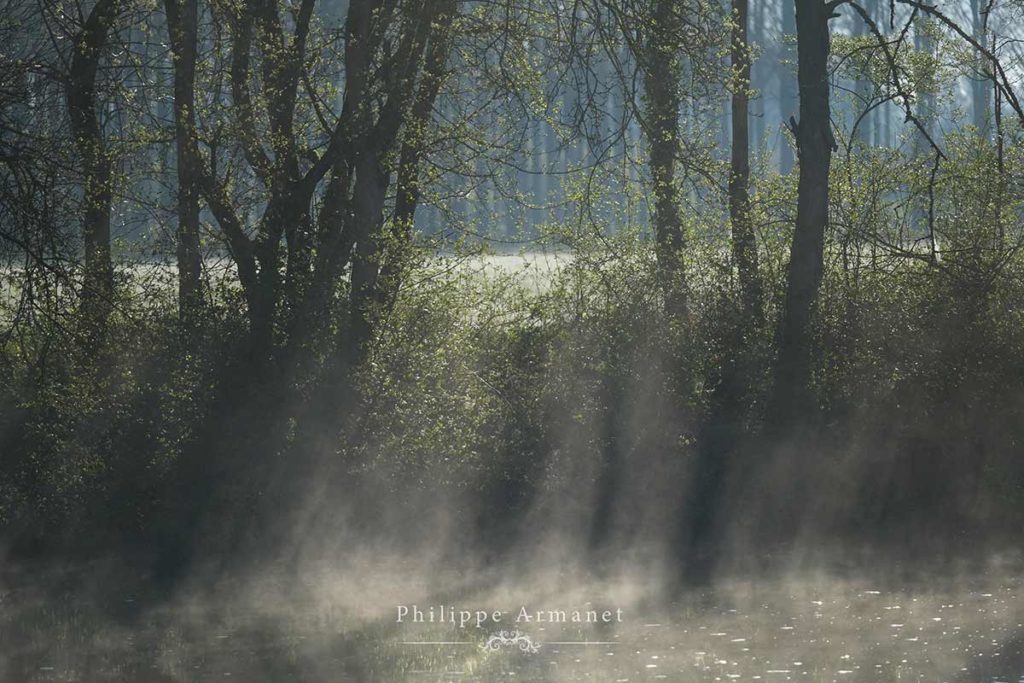 Photo de brume, l'âme de l'eau