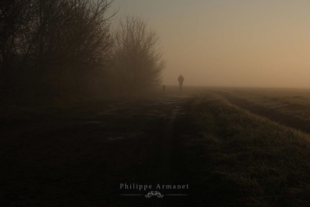 Photo de brume, l'homme et le chien