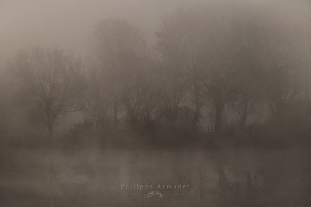 Photo de brume, philippe armanet