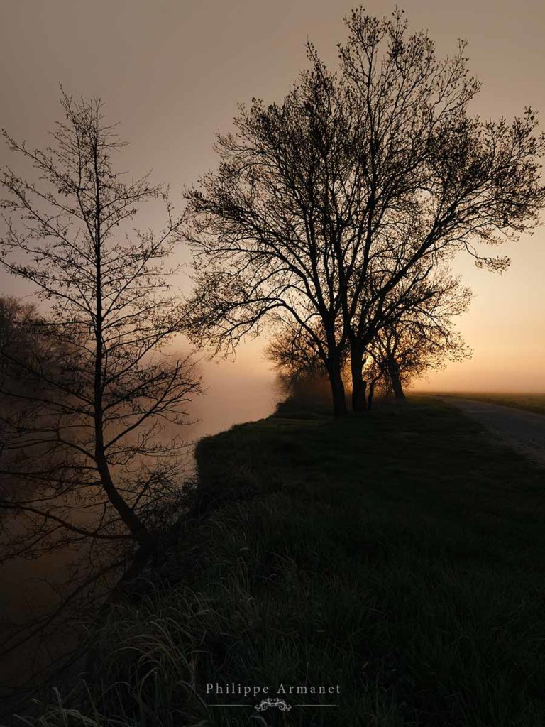 Photo de brume en campagne